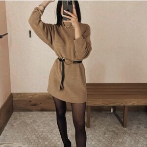 BABATON Maclean Dress Oversized Merino Wool Turtleneck Mini 2 Medium Aritzia